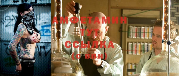 крисы Сясьстрой